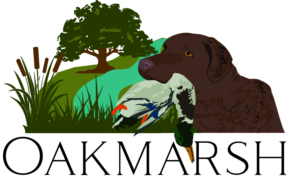 Oakmarsh Chesapeakes